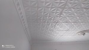 Styrofoam Ceiling (5)