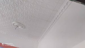 Styrofoam Ceiling (5)