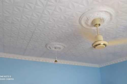 Styrofoam Ceiling