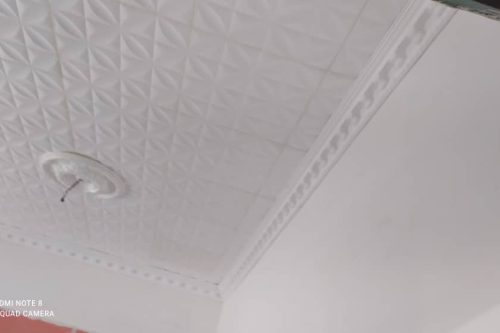 Styrofoam Ceiling (5)